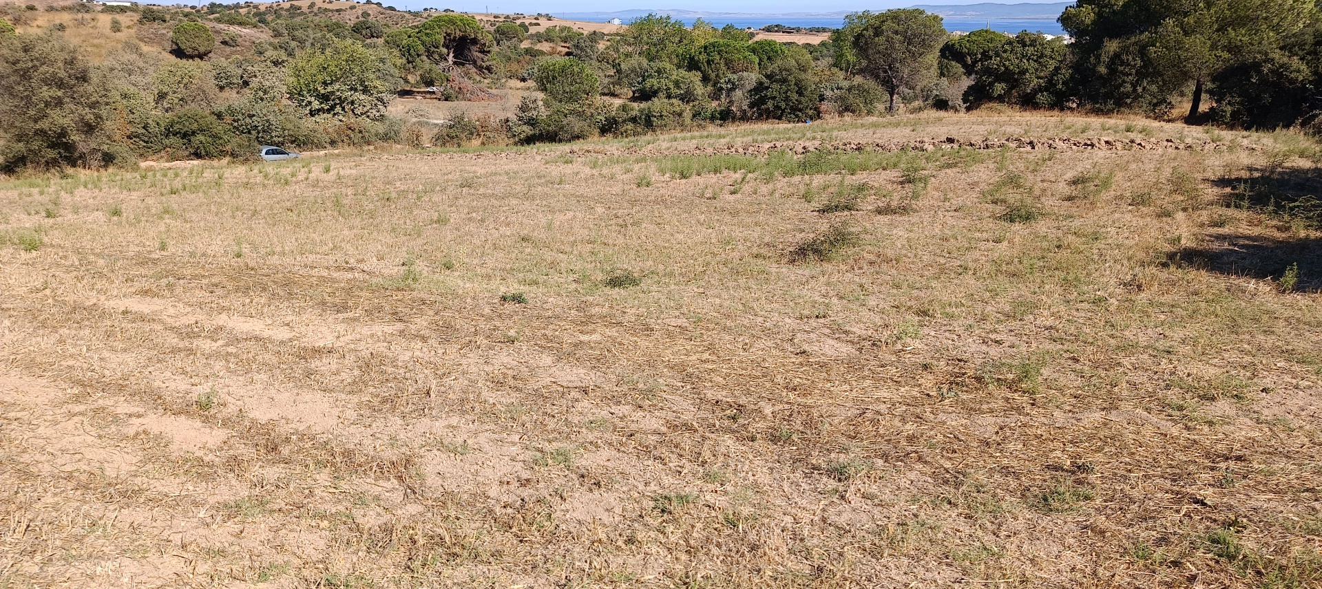 ÇANAKKALE BİGA KARABİGA ZEYTİNLİK KÖYÜ SATILIK 3.486 m2 TARLA  - ÇANAKKALE BİGA KARABİGA BELDESİ, ZEYTİNLİK MAHALLESİ - undefined undefined - Thumbnail