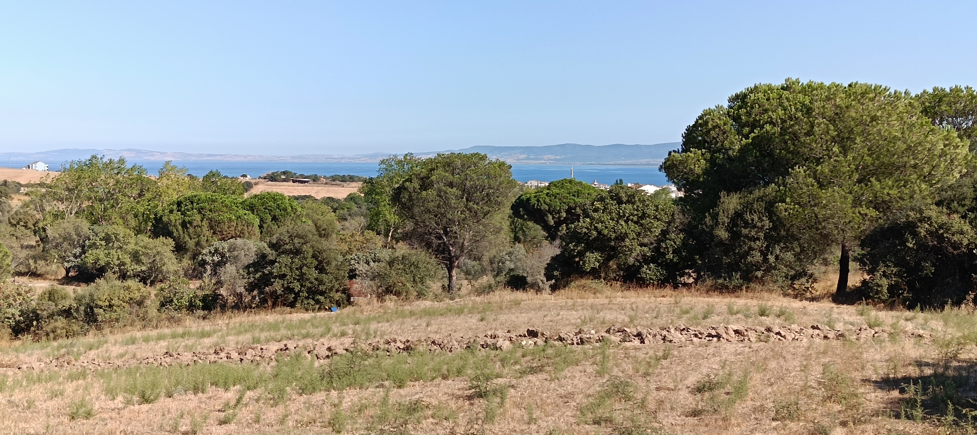 ÇANAKKALE BİGA KARABİGA ZEYTİNLİK KÖYÜ SATILIK 3.486 m2 TARLA  - ÇANAKKALE BİGA KARABİGA BELDESİ, ZEYTİNLİK MAHALLESİ - undefined undefined - Thumbnail