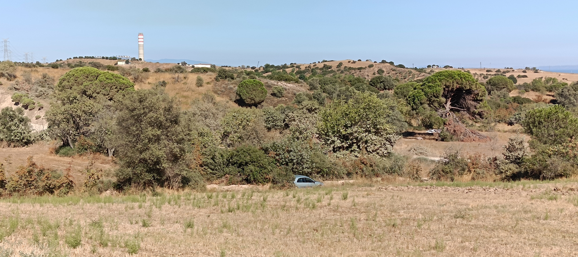ÇANAKKALE BİGA KARABİGA ZEYTİNLİK KÖYÜ SATILIK 3.486 m2 TARLA  - ÇANAKKALE BİGA KARABİGA BELDESİ, ZEYTİNLİK MAHALLESİ - undefined undefined - Thumbnail