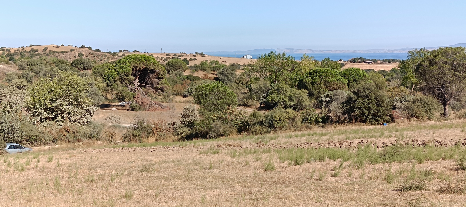 ÇANAKKALE BİGA KARABİGA ZEYTİNLİK KÖYÜ SATILIK 3.486 m2 TARLA  - ÇANAKKALE BİGA KARABİGA BELDESİ, ZEYTİNLİK MAHALLESİ - undefined undefined - Thumbnail