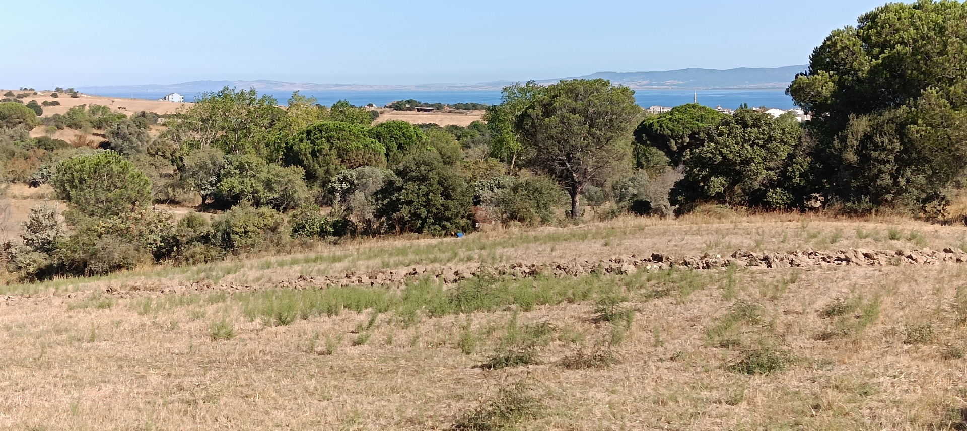 ÇANAKKALE BİGA KARABİGA ZEYTİNLİK KÖYÜ SATILIK 3.486 m2 TARLA  - ÇANAKKALE BİGA KARABİGA BELDESİ, ZEYTİNLİK MAHALLESİ - undefined undefined - Thumbnail