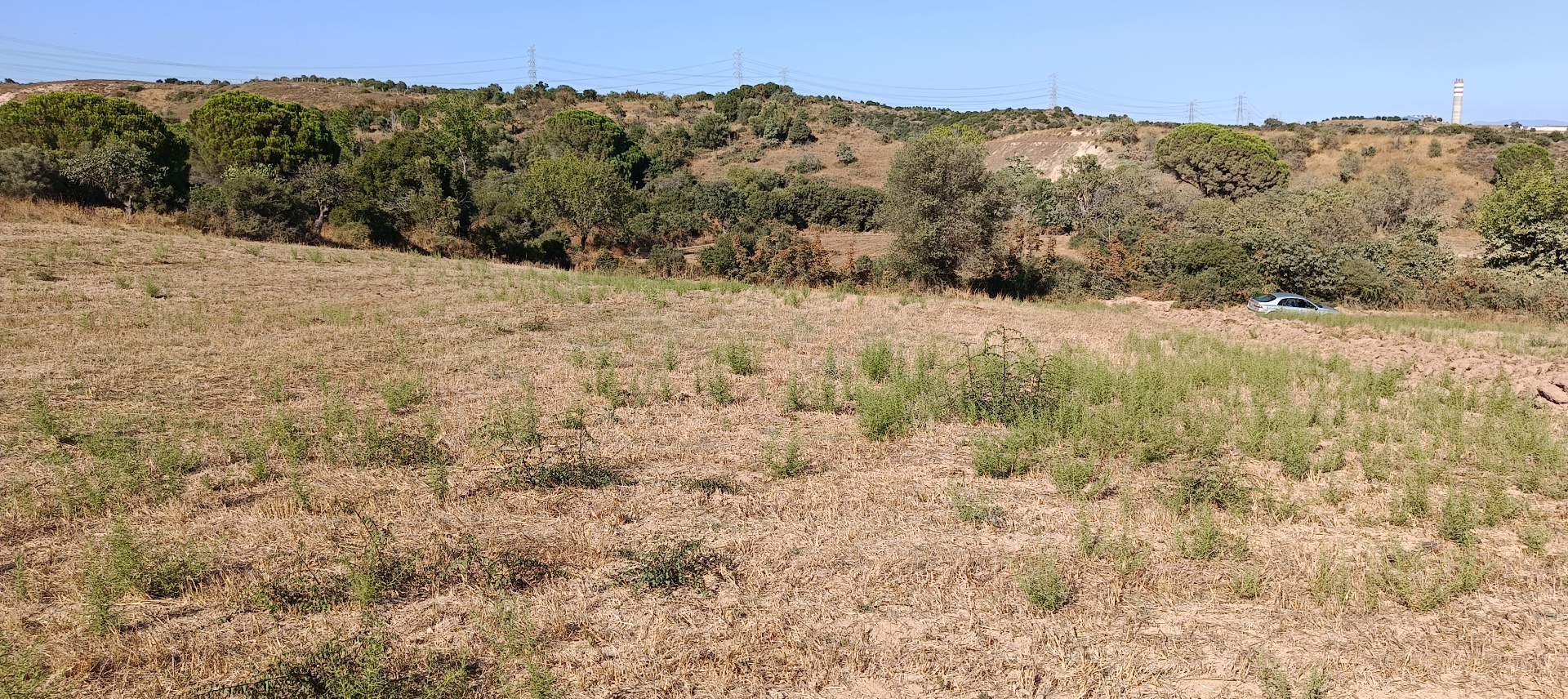 ÇANAKKALE BİGA KARABİGA ZEYTİNLİK KÖYÜ SATILIK 3.486 m2 TARLA  - ÇANAKKALE BİGA KARABİGA BELDESİ, ZEYTİNLİK MAHALLESİ - undefined undefined - Thumbnail