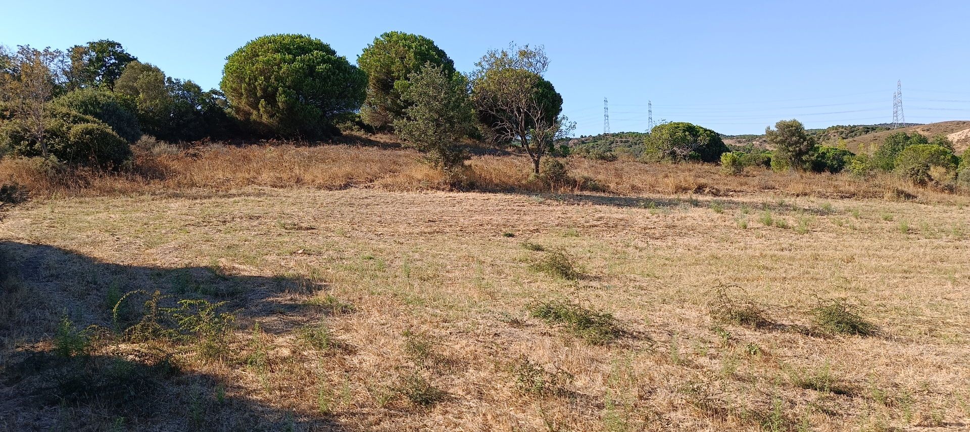 ÇANAKKALE BİGA KARABİGA ZEYTİNLİK KÖYÜ SATILIK 3.486 m2 TARLA  - ÇANAKKALE BİGA KARABİGA BELDESİ, ZEYTİNLİK MAHALLESİ - undefined undefined - Thumbnail