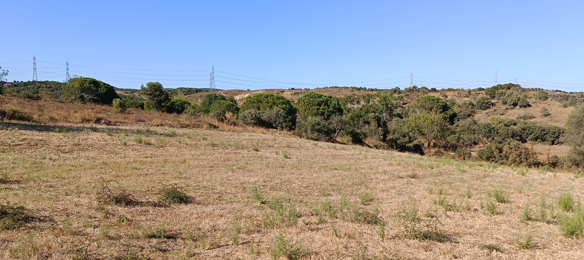 ÇANAKKALE BİGA KARABİGA ZEYTİNLİK KÖYÜ SATILIK 3.486 m2 TARLA  - ÇANAKKALE BİGA KARABİGA BELDESİ, ZEYTİNLİK MAHALLESİ - undefined undefined - Thumbnail