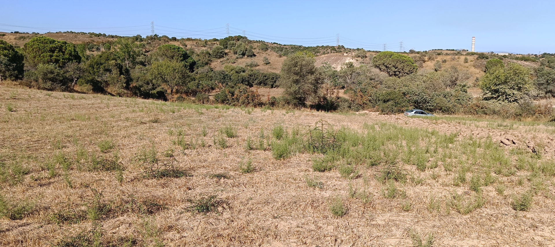 ÇANAKKALE BİGA KARABİGA ZEYTİNLİK KÖYÜ SATILIK 3.486 m2 TARLA  - ÇANAKKALE BİGA KARABİGA BELDESİ, ZEYTİNLİK MAHALLESİ - undefined undefined - Thumbnail