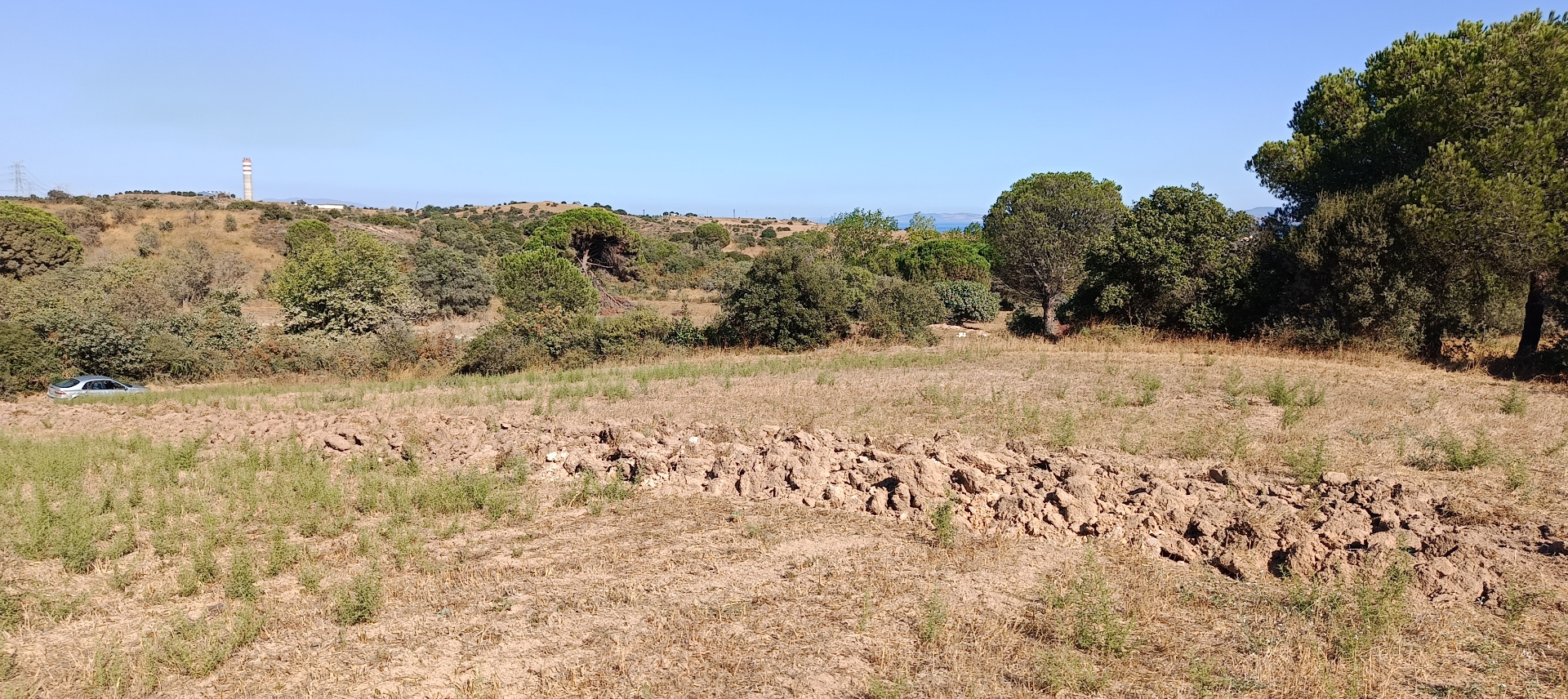ÇANAKKALE BİGA KARABİGA ZEYTİNLİK KÖYÜ SATILIK 3.486 m2 TARLA  - ÇANAKKALE BİGA KARABİGA BELDESİ, ZEYTİNLİK MAHALLESİ - undefined undefined - Thumbnail