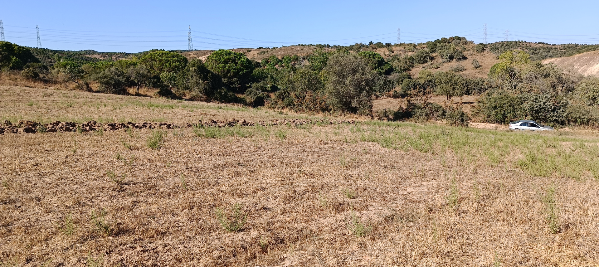 ÇANAKKALE BİGA KARABİGA ZEYTİNLİK KÖYÜ SATILIK 3.486 m2 TARLA  - ÇANAKKALE BİGA KARABİGA BELDESİ, ZEYTİNLİK MAHALLESİ - undefined undefined - Thumbnail