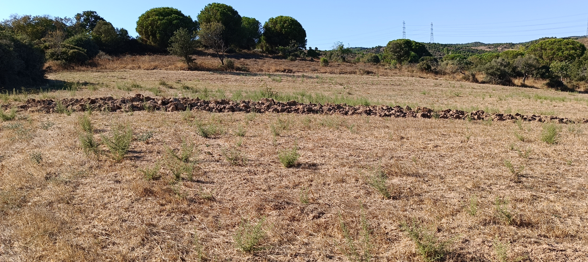 ÇANAKKALE BİGA KARABİGA ZEYTİNLİK KÖYÜ SATILIK 3.486 m2 TARLA  - ÇANAKKALE BİGA KARABİGA BELDESİ, ZEYTİNLİK MAHALLESİ - undefined undefined - Thumbnail
