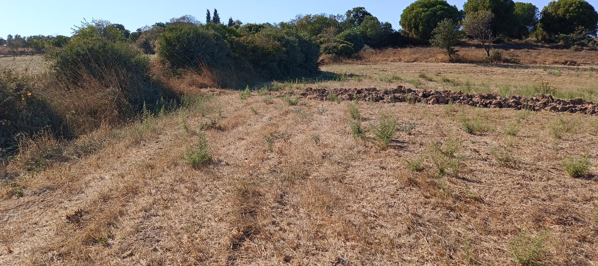 ÇANAKKALE BİGA KARABİGA ZEYTİNLİK KÖYÜ SATILIK 3.486 m2 TARLA  - ÇANAKKALE BİGA KARABİGA BELDESİ, ZEYTİNLİK MAHALLESİ - undefined undefined - Thumbnail