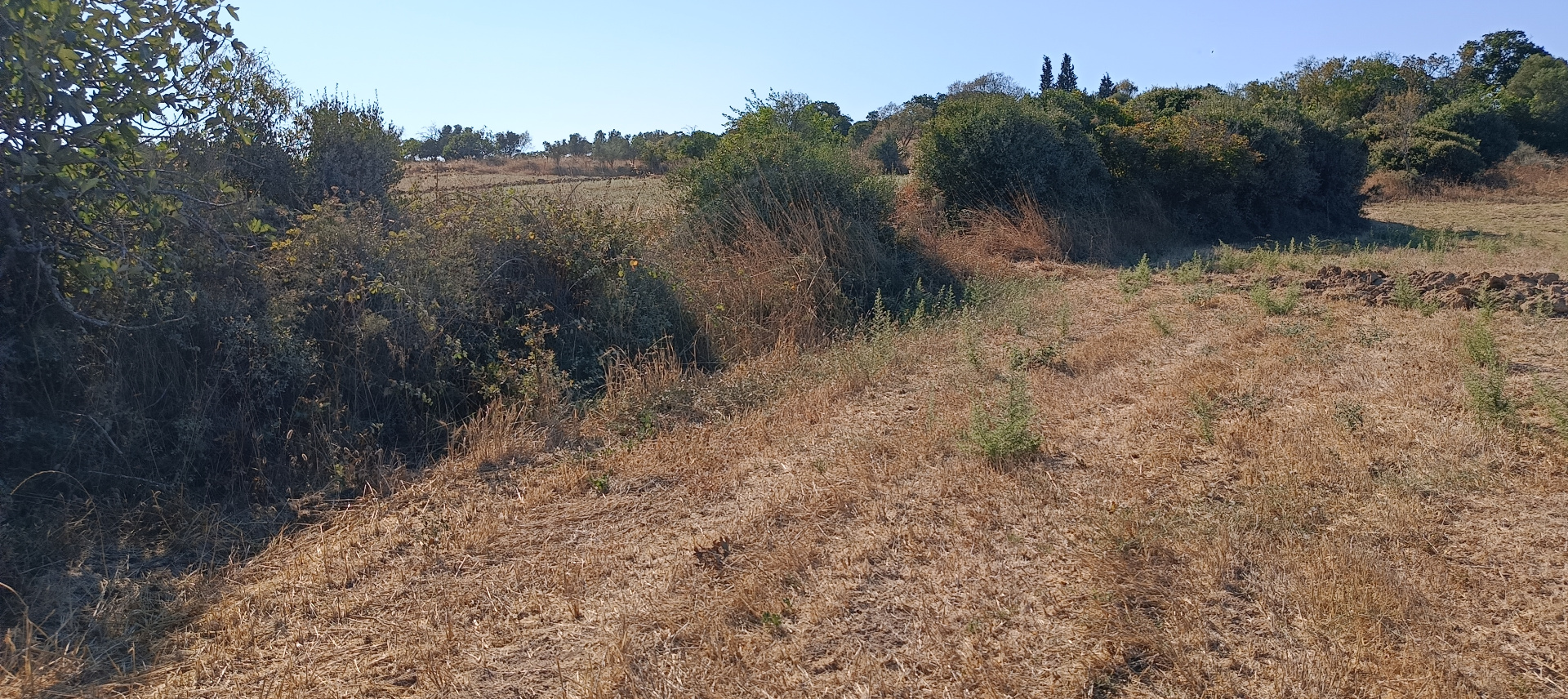 ÇANAKKALE BİGA KARABİGA ZEYTİNLİK KÖYÜ SATILIK 3.486 m2 TARLA  - ÇANAKKALE BİGA KARABİGA BELDESİ, ZEYTİNLİK MAHALLESİ - undefined undefined - Thumbnail