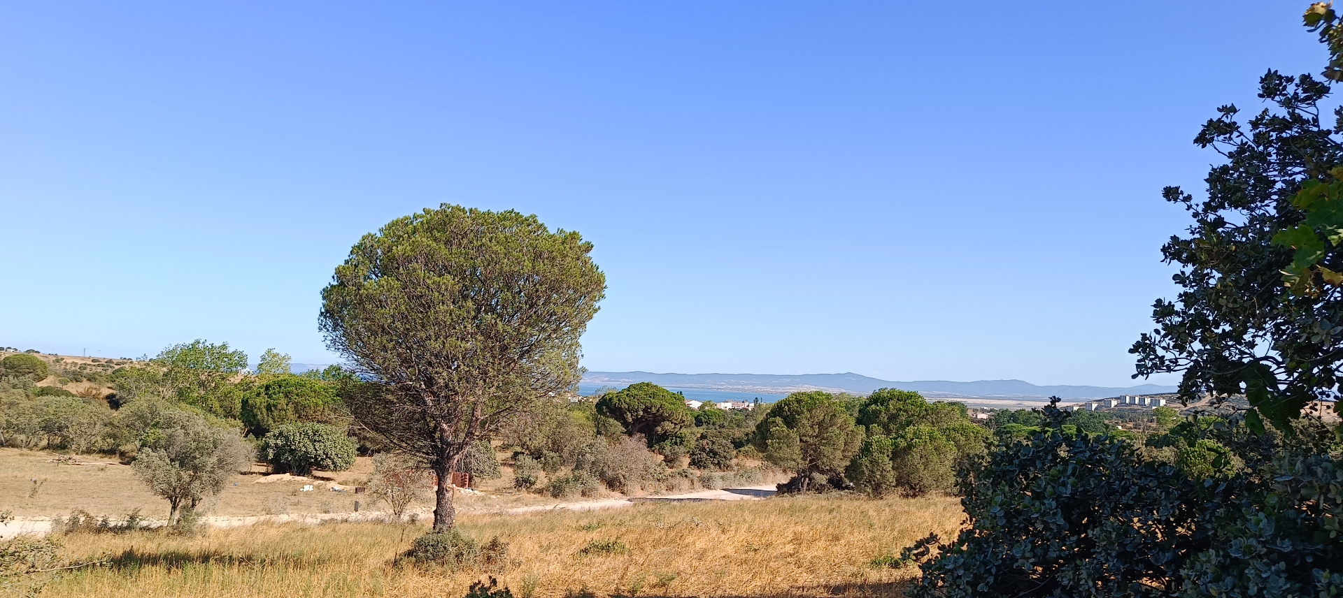 ÇANAKKALE BİGA KARABİGA ZEYTİNLİK KÖYÜ SATILIK 3.486 m2 TARLA  - ÇANAKKALE BİGA KARABİGA BELDESİ, ZEYTİNLİK MAHALLESİ - undefined undefined - Thumbnail