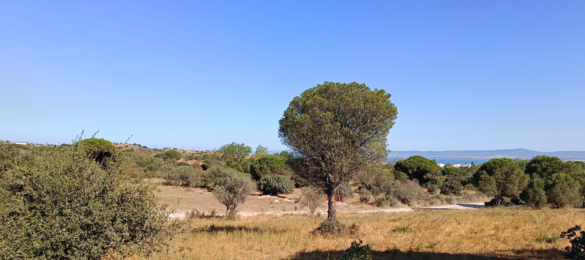 ÇANAKKALE BİGA KARABİGA ZEYTİNLİK KÖYÜ SATILIK 3.486 m2 TARLA  - ÇANAKKALE BİGA KARABİGA BELDESİ, ZEYTİNLİK MAHALLESİ - undefined undefined - Thumbnail