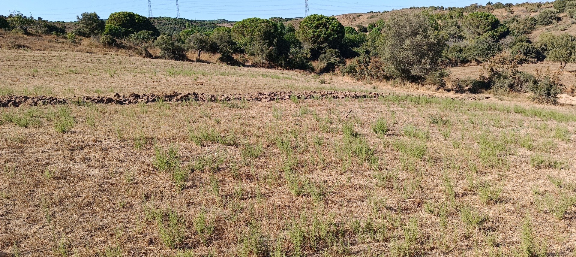 ÇANAKKALE BİGA KARABİGA ZEYTİNLİK KÖYÜ SATILIK 3.486 m2 TARLA  - ÇANAKKALE BİGA KARABİGA BELDESİ, ZEYTİNLİK MAHALLESİ - undefined undefined - Thumbnail