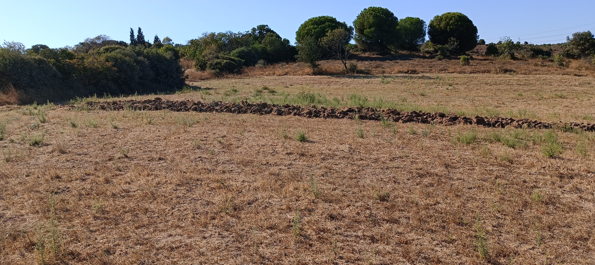 ÇANAKKALE BİGA KARABİGA ZEYTİNLİK KÖYÜ SATILIK 3.486 m2 TARLA  - ÇANAKKALE BİGA KARABİGA BELDESİ, ZEYTİNLİK MAHALLESİ - undefined undefined - Thumbnail