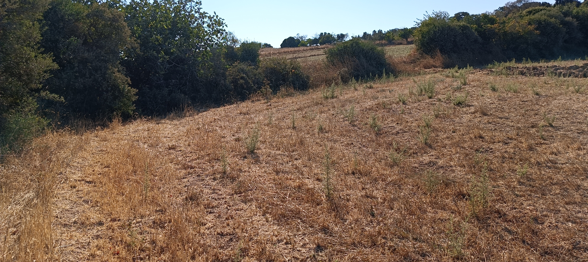 ÇANAKKALE BİGA KARABİGA ZEYTİNLİK KÖYÜ SATILIK 3.486 m2 TARLA  - ÇANAKKALE BİGA KARABİGA BELDESİ, ZEYTİNLİK MAHALLESİ - undefined undefined - Thumbnail