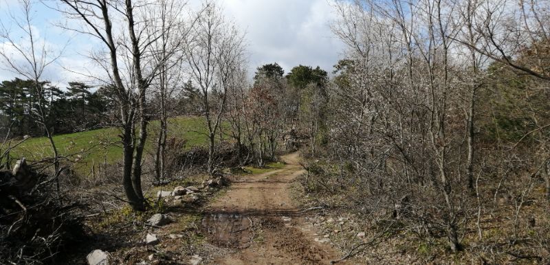 ÇANAKKALE MERKEZ ÇAMYAYLA KÖYÜNDE 10.431 M2 TARLA SATILIKTIR. - ÇANAKKALE MERKEZ ÇAMYAYLA KÖYÜ - undefined undefined - Thumbnail