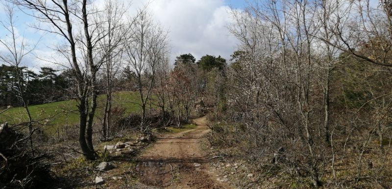 ÇANAKKALE MERKEZ ÇAMYAYLA KÖYÜNDE 10.431 M2 TARLA SATILIKTIR. - ÇANAKKALE MERKEZ ÇAMYAYLA KÖYÜ - undefined undefined - Thumbnail