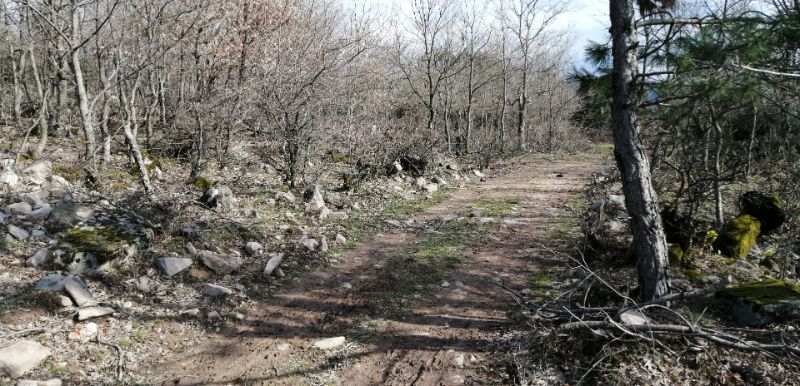 ÇANAKKALE MERKEZ ÇAMYAYLA KÖYÜNDE 10.431 M2 TARLA SATILIKTIR. - ÇANAKKALE MERKEZ ÇAMYAYLA KÖYÜ - undefined undefined - Thumbnail