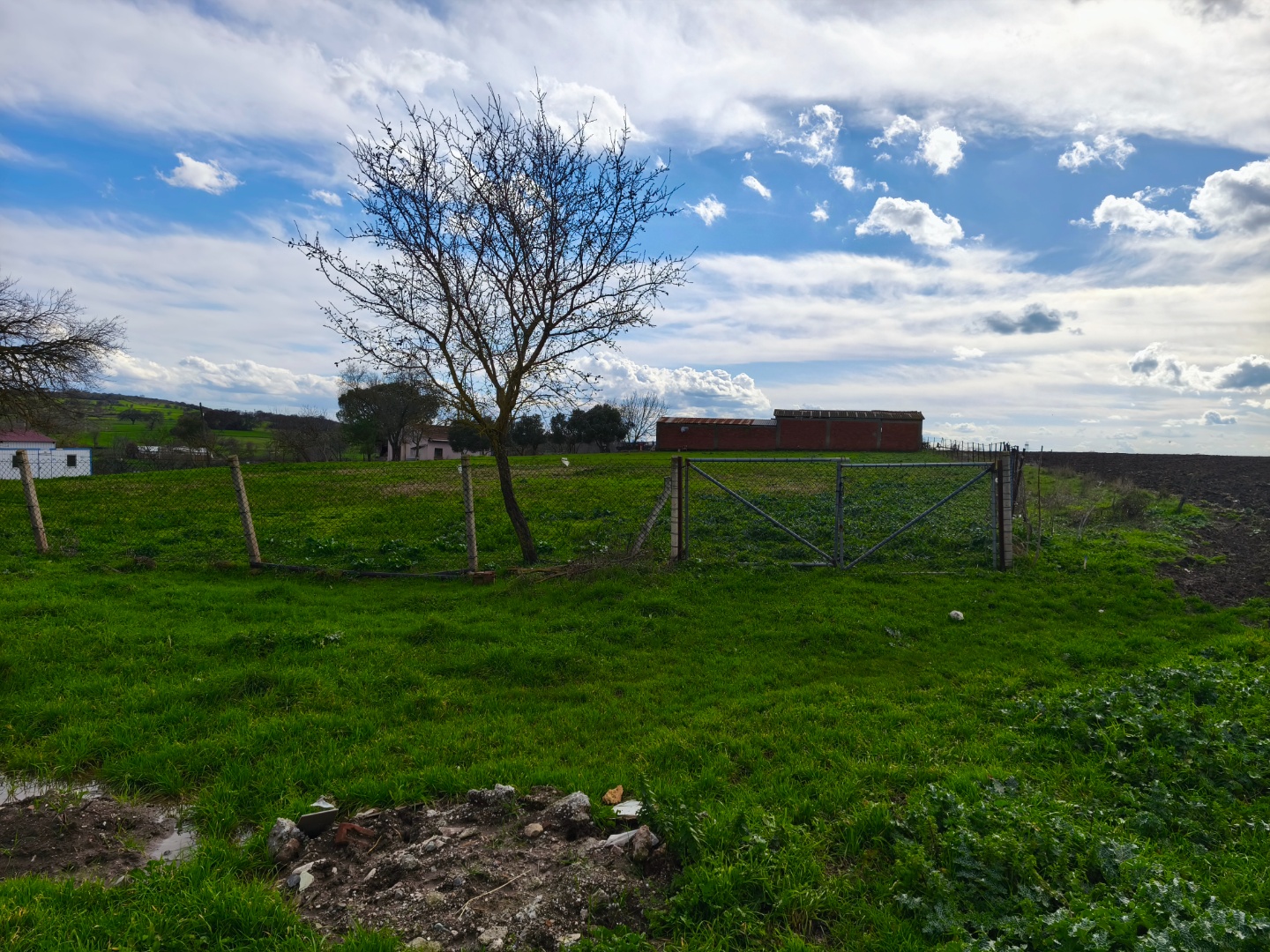 ÇANAKKALE BİGA GEYİKKIRI KÖYÜNDE 2 DÖNÜM İMARLI ARSA - ÇANAKKALE BİGA GEYİKKIRI KÖYÜ - undefined undefined - Thumbnail