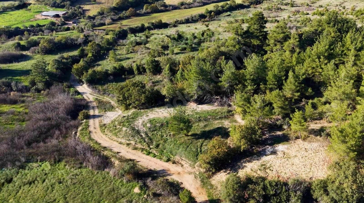 ÇANAKKALE BAYRAMİÇ KÖYLÜ DE 900M2 HOBİ BAHÇESİ - ÇANAKKALE BAYRAMİÇ KÖYLÜ KÖYÜ - undefined undefined - Thumbnail