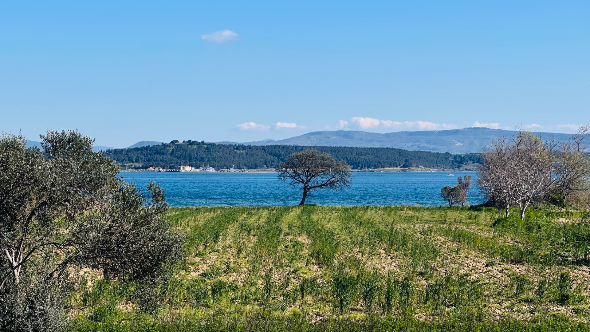 Çanakkale Eceabat Bigalı'da Denize Sıfır, Değerli Yatırımlık Tarla - ÇANAKKALE ECEABAT BİGALI KÖYÜ - undefined [object Object]