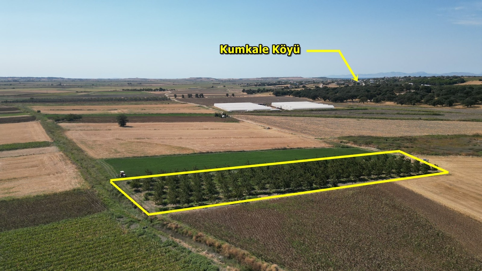 ÇANAKKALE MERKEZ HALİLELİ KÖYÜ NDE 5.520 M2 CEVİZLİK - ÇANAKKALE MERKEZ HALİLELİ KÖYÜ - undefined undefined - Thumbnail