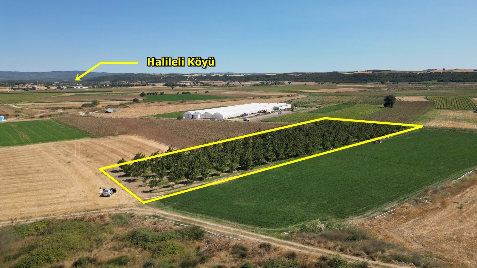 ÇANAKKALE MERKEZ HALİLELİ KÖYÜ NDE 5.520 M2 CEVİZLİK - ÇANAKKALE MERKEZ HALİLELİ KÖYÜ - undefined undefined - Thumbnail