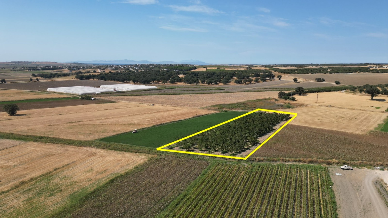 ÇANAKKALE MERKEZ HALİLELİ KÖYÜ NDE 5.520 M2 CEVİZLİK - ÇANAKKALE MERKEZ HALİLELİ KÖYÜ - undefined undefined - Thumbnail