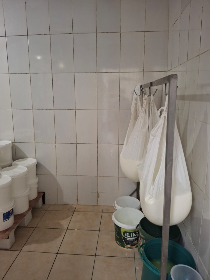 ÇANAKKALE MERKEZ FEVZİPAŞA MAH. | 180 M² | SÜT VE SÜT ÜRÜNLERİ İMALATI RUHSATLI | DÜŞÜK KİRA - ÇANAKKALE MERKEZ FEVZİPAŞA MAHALLESİ - undefined undefined - Thumbnail
