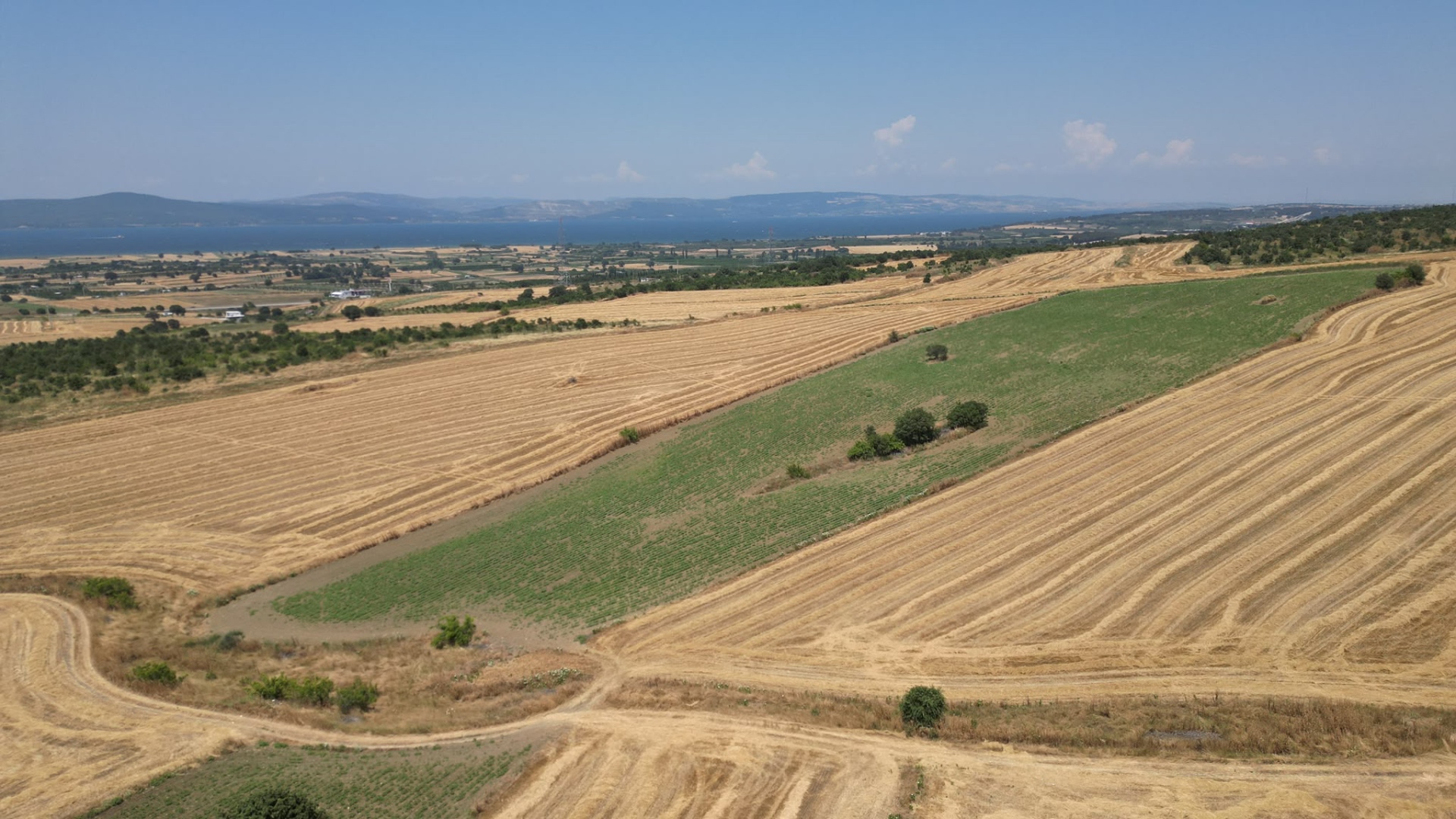 Çanakkale Lapseki Kangırlı da 7054 m2 Tarla