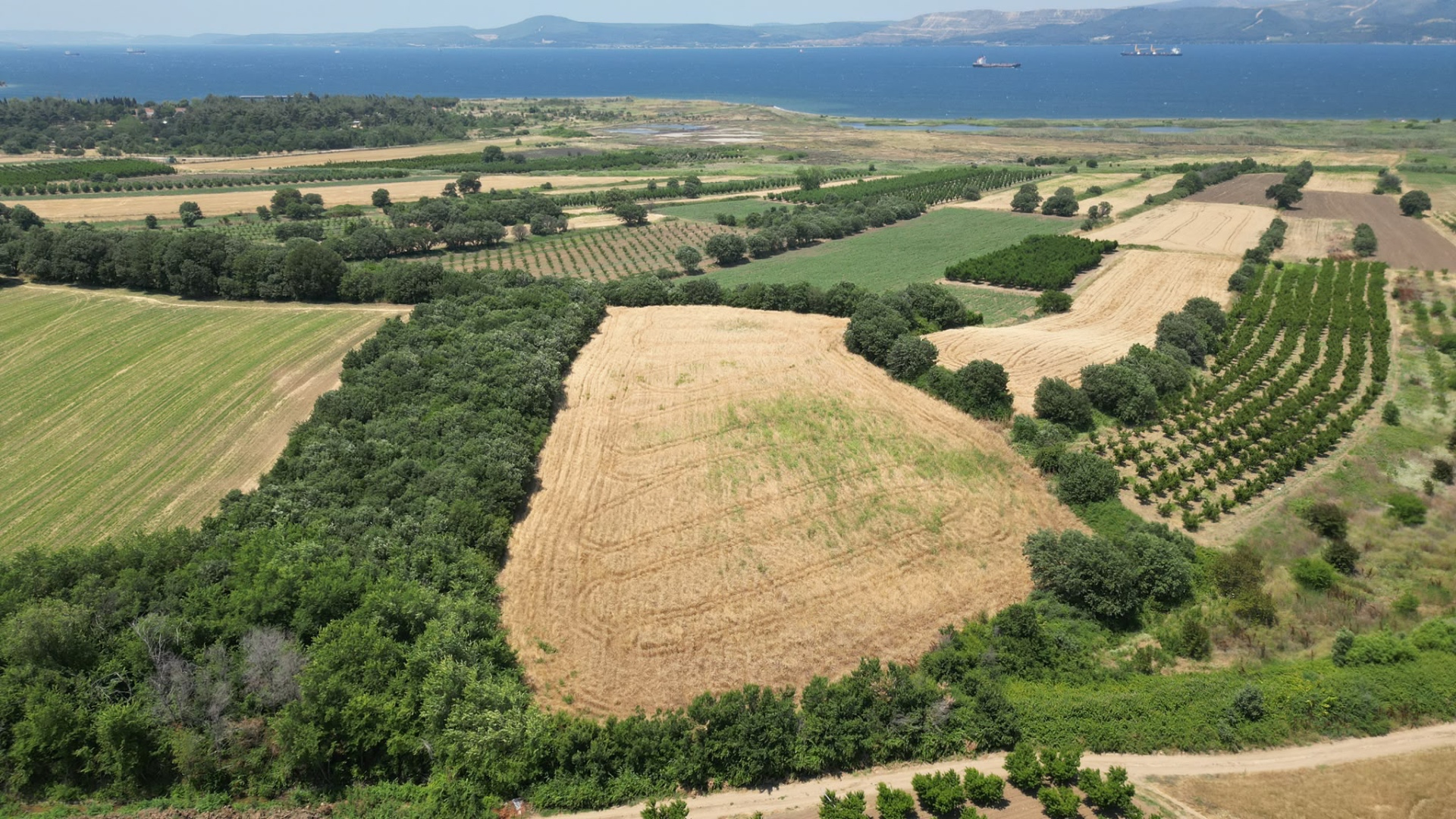 Çanakkale Merkez Musaköy de 23619 m2 Tarla 