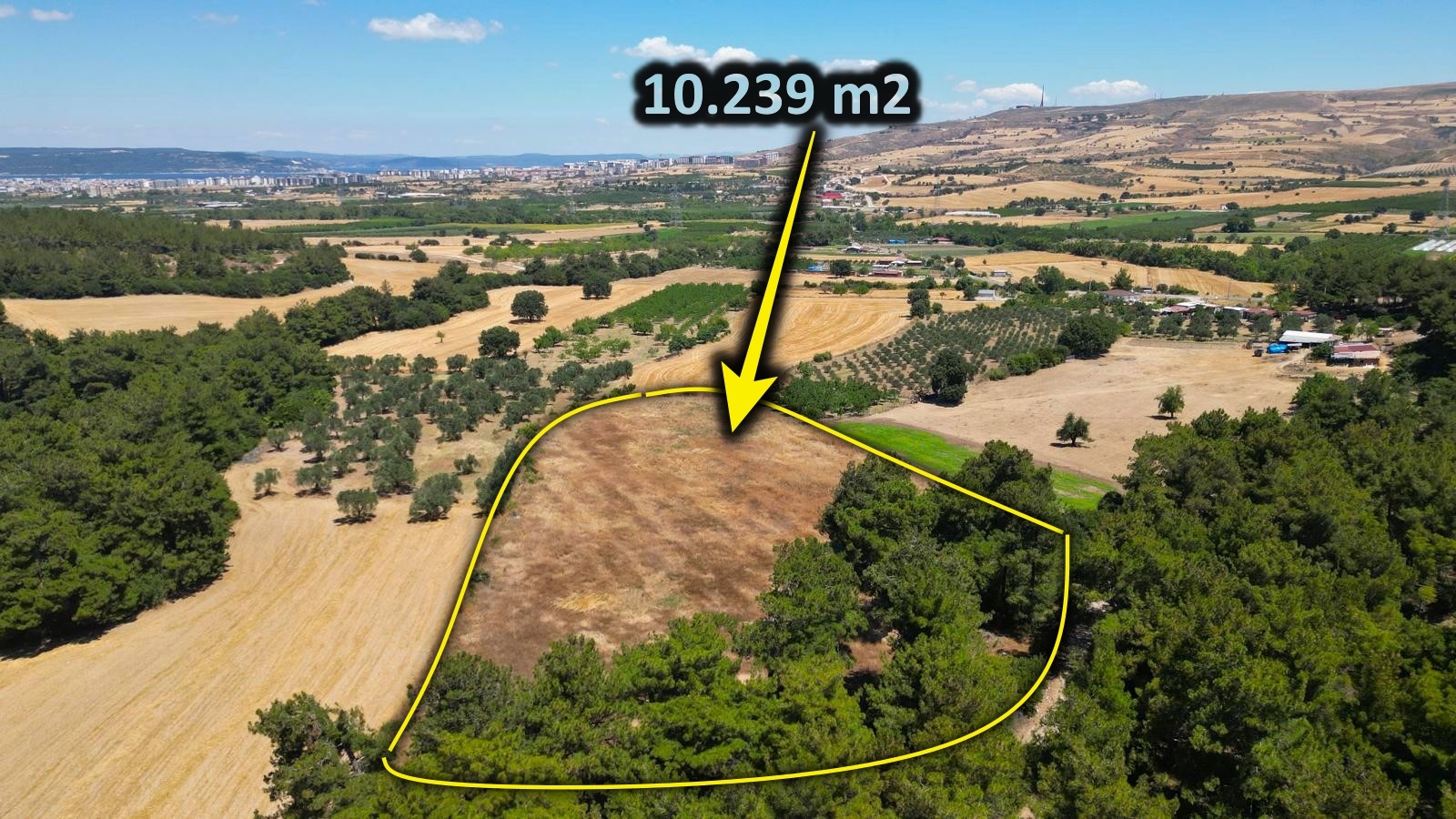 Çanakkale Merkez Taşlıtarla da 400 Adet Badem Ağaçı Bulunan 10239 M2 Tarla