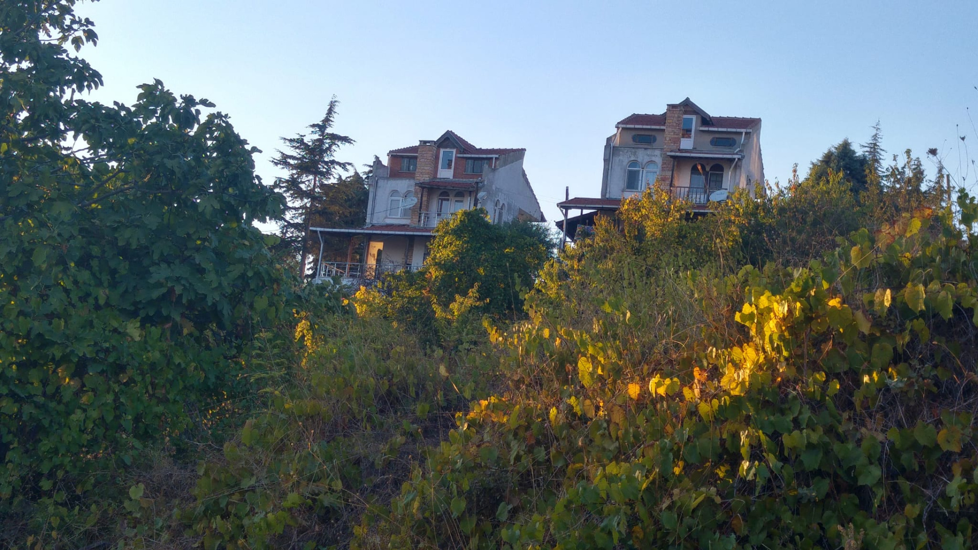TEKİRDAĞ BARBAROS 5.003 M2 KONUT İMARLI SATILIK ARSA - TEKİRDAĞ SÜLEYMANPAŞA BARBAROS MAHALLESİ - undefined undefined - Thumbnail