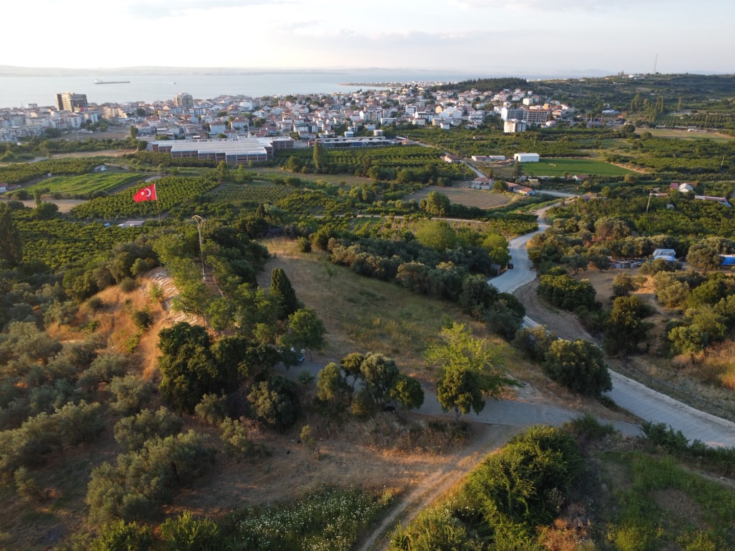 LAPSEKİ GAZİSÜLEYMAN PAŞA MAH. SATILIK 5.5 DÖNÜM ZEYTİNLİK - ÇANAKKALE LAPSEKİ GAZİ SÜLEYMAN PAŞA MAHALLESİ - undefined undefined - Thumbnail