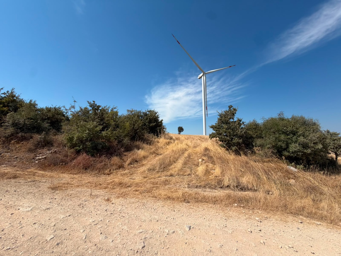 BAYRAMİÇ BEZİRGANLAR KÖYÜNDE ANA YOLA ÇOK YAKIN SATILIK 10263 M2 SATILIK FIRSAT TARLA ! - ÇANAKKALE BAYRAMİÇ BEZİRGANLAR KÖYÜ - undefined undefined - Thumbnail