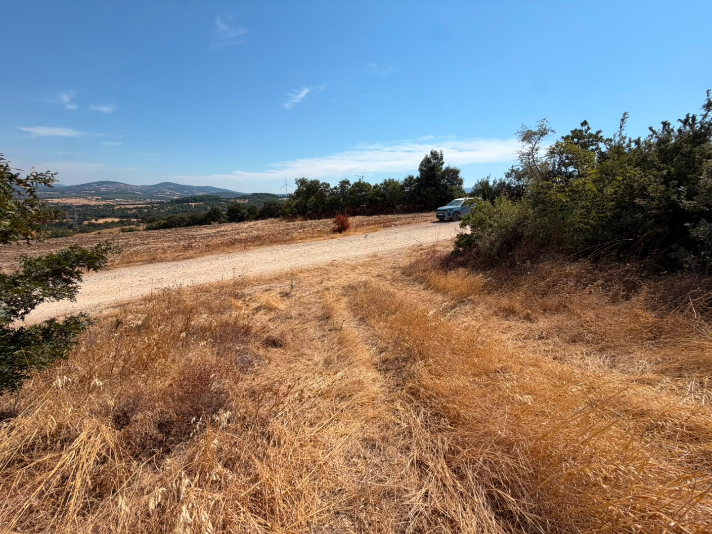 BAYRAMİÇ BEZİRGANLAR KÖYÜNDE ANA YOLA ÇOK YAKIN SATILIK 10263 M2 SATILIK FIRSAT TARLA ! - ÇANAKKALE BAYRAMİÇ BEZİRGANLAR KÖYÜ - undefined undefined - Thumbnail