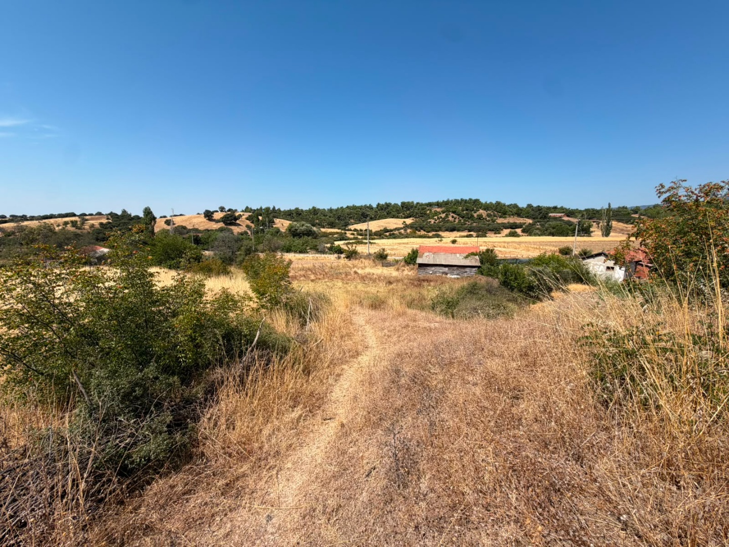 BAYRAMİÇ ÜÇYOL KÖYÜNÜN GİRİŞİNDE 2963 M2 KÖY İMARLI SATILIK ARSA ! - ÇANAKKALE BAYRAMİÇ ÜÇYOL KÖYÜ - undefined undefined - Thumbnail