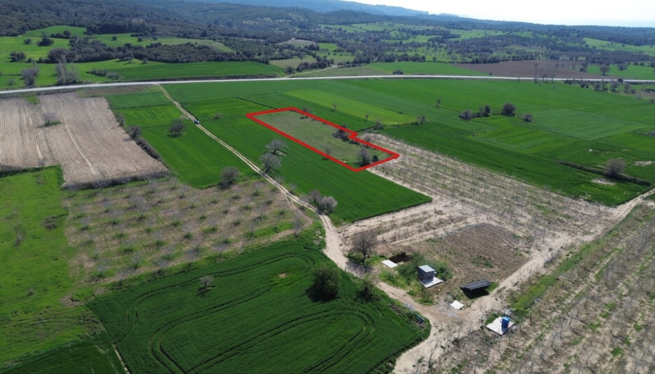 ECEABAT BÜYÜKANAFARTA KÖYÜNDE YOLA YAKIN 3.444 M2 SATILIK TARLA - ÇANAKKALE ECEABAT BÜYÜKANAFARTA KÖYÜ - undefined [object Object]